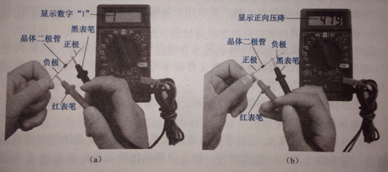 圖3 數(shù)字萬用表判斷二極管的極性