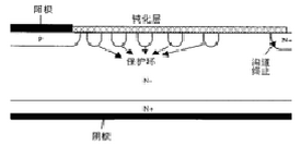 圖2  平面結(jié)邊緣終止結(jié)構(gòu)