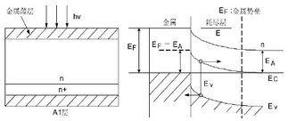 圖2 肖特基勢壘光電探測器