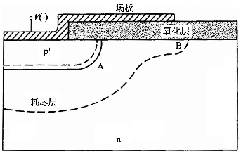 圖1 場板基本結(jié)構(gòu)示意圖