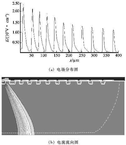 圖5 擊穿時的電場分布圖和電流流向圖