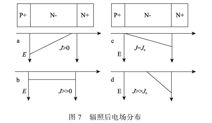 圖7 輻照后電場分布